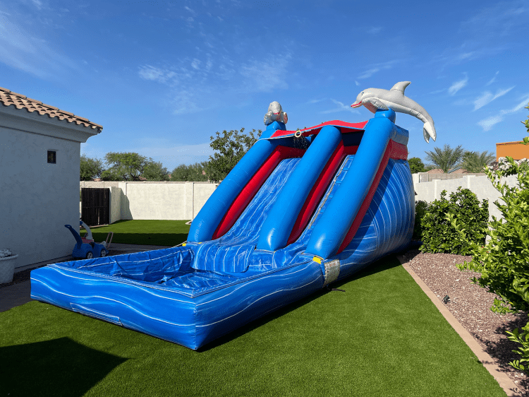 14' Dolphin Water Slide